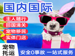 庆阳航空快递国际宠物托运 【国